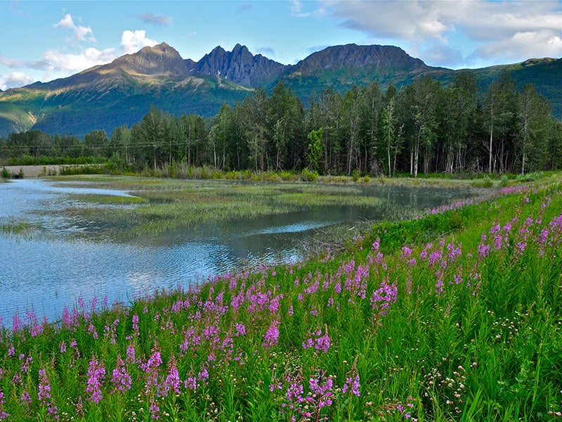 The Matanuska-Susitna Valley. The Matanuska-Susitna Valley.