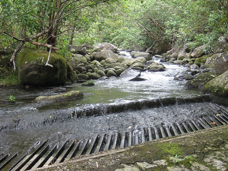Upper diversion on Waihe`e River with the entire flow of the river being diverted. Upper diversion on Waihe`e River with the entire flow of the river being diverted.