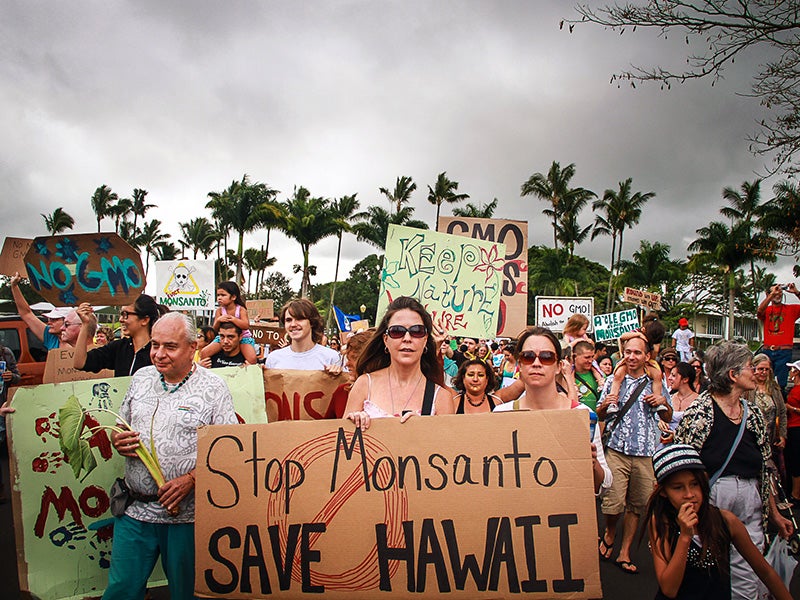 Hawaiians gather in Hilo to protest GMO agribusiness on the islands of Hawaiʻi. Hawaiians gather in Hilo to protest GMO agribusiness on the islands of Hawaiʻi.