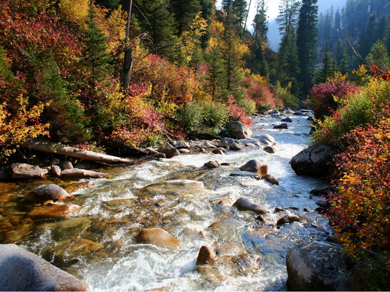 Streams and the bodies of water they flow to will be better protected with the new Clean Water Rule.