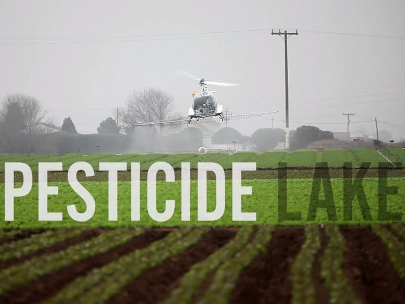 Introducing the short film Pesticide Lake Introducing the short film Pesticide Lake