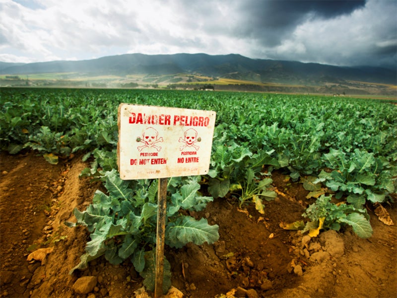 Pesticide application sign.