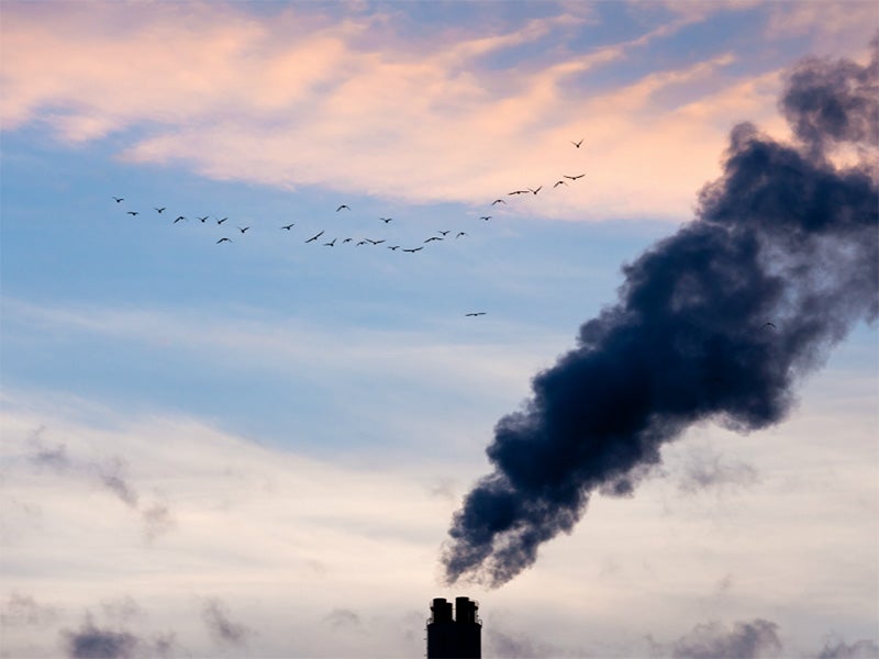 A flock of birds fly past a smokestack of a coal-fired power plant. A flock of birds fly past a smokestack of a coal-fired power plant.