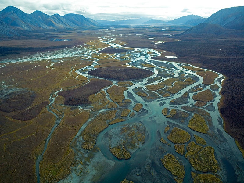 The unspoiled 19 million acres of tundra, rivers and mountains of the Arctic Refuge shelter migratory birds from all 50 states and six continents each summer. To the Gwich’in people of northeast Alaska, this is sacred ground. An aerial view of a braided river in the Arctic Refuge.