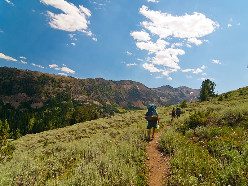 Hikers in Salmon-Challis National Forest. Hikers in Salmon-Challis National Forest.