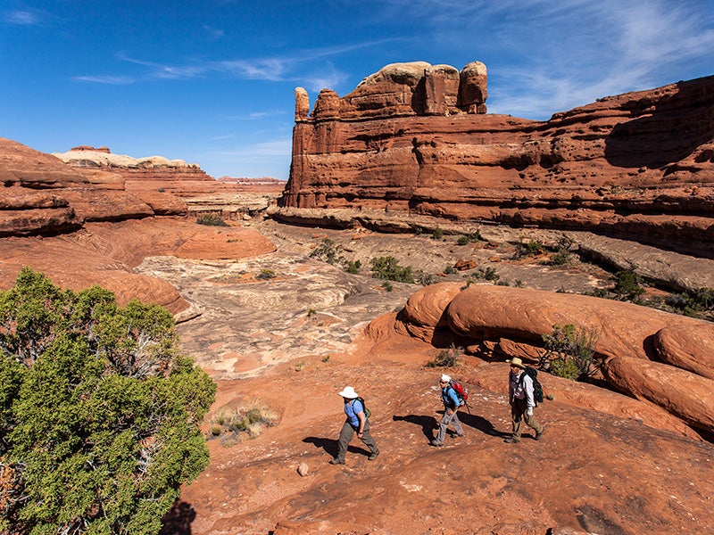 Hikers explore Salt Creek Canyon in Utah. Hikers explore Salt Creek Canyon in Utah.