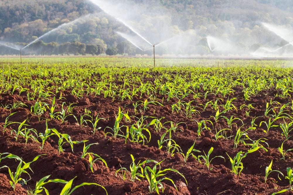 Chlorpyrifos banned Chlorpyrifos banned