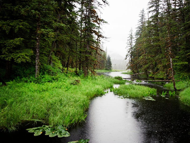 The Tongass National Forest, Alaska The Tongass National Forest, Alaska