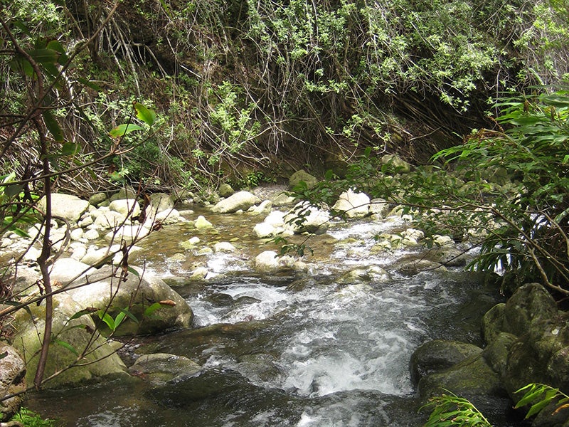 The Waihe'e river on Maui. The Waihe'e river on Maui.