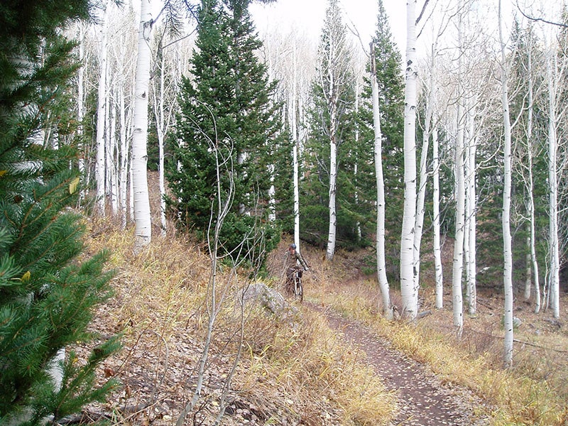 The Wasatch Crest Trail in Utah. The Wasatch Crest Trail in Utah.