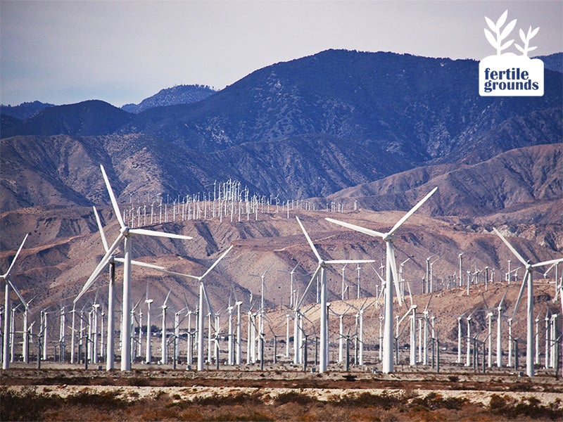 wind farm wind farm