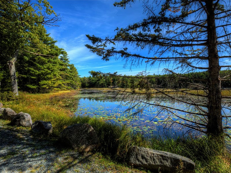 Witch Hole Pond in Acadia National Park. Witch Hole Pond in Acadia National Park.