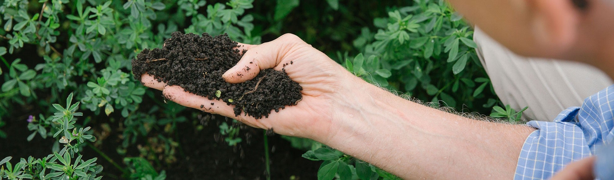 Managing Attorney Peter Lehner holds a handful of rich soil on an Iowa farm. Managing Attorney Peter Lehner holds a handful of rich soil on an Iowa farm.