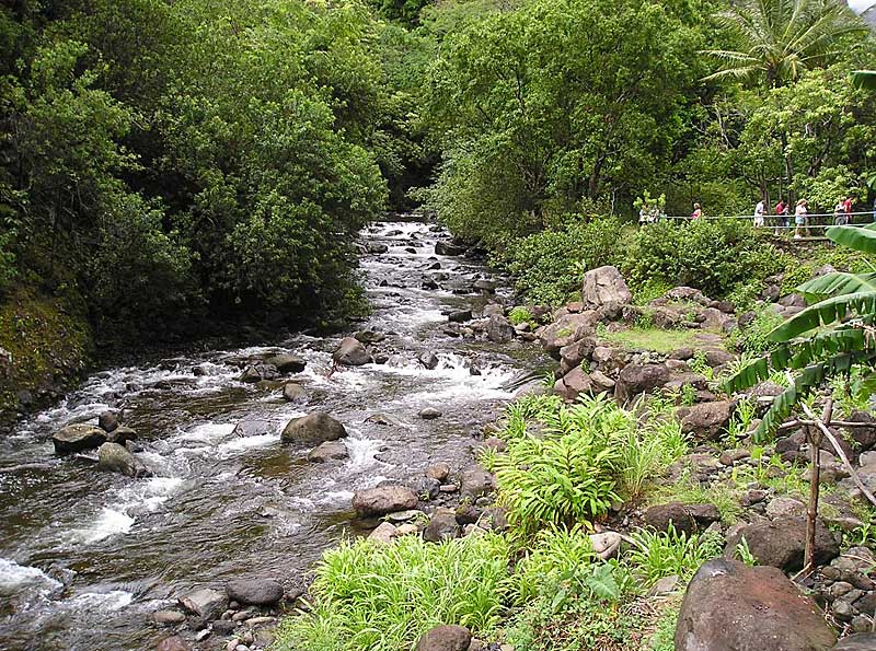 Wailuku River flowing naturally above all diversions at the `Iao Needle State Park.