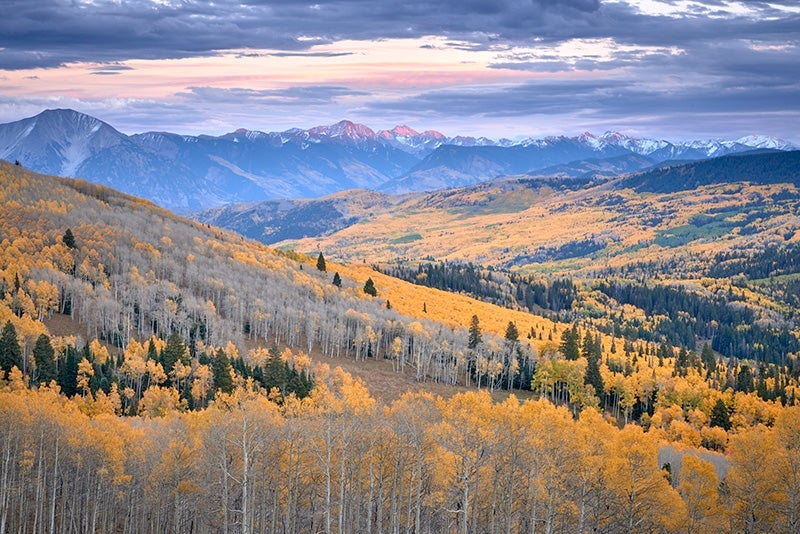 Autumn scenery in the Thompson Divide.
