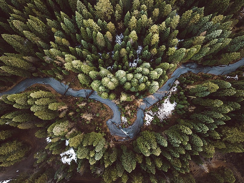 A river winds through a forest seen directly from above near Klamath Falls, Oregon.