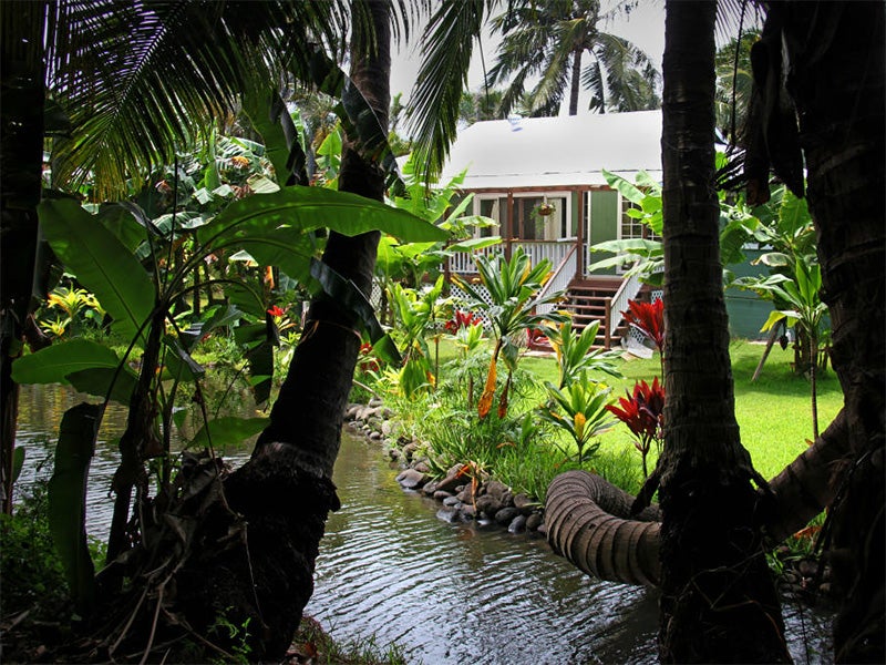 Island Revival Water Returns To Hawai I S People Earthjustice