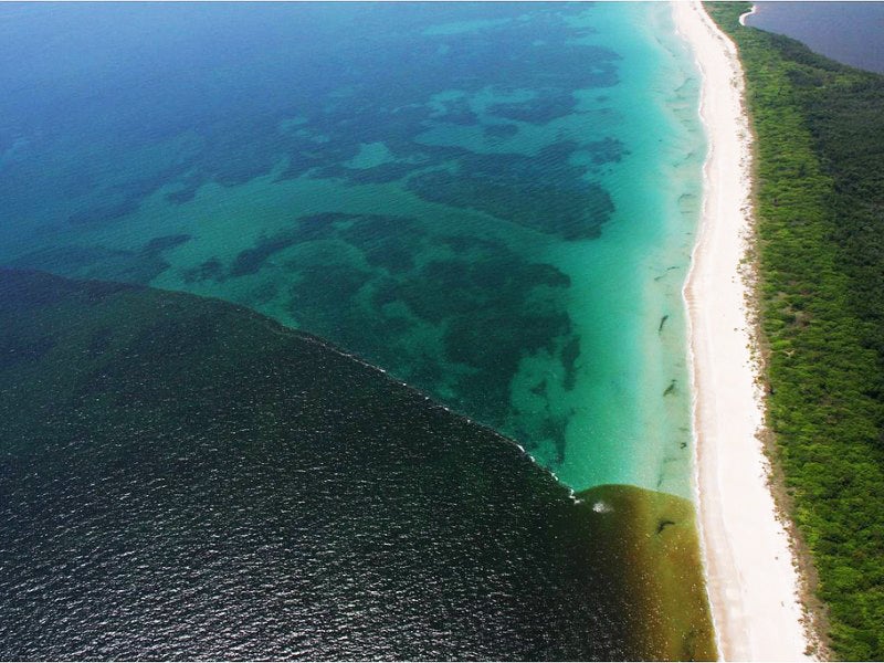 Lake Okeechobee Pollution Limits Earthjustice