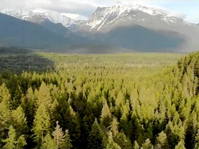 Defending The Cabinet Mountains Wilderness From Industrialized