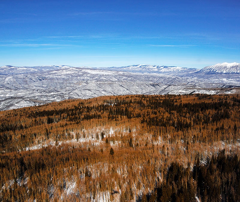 The Sunset Roadless Area in Colorado.