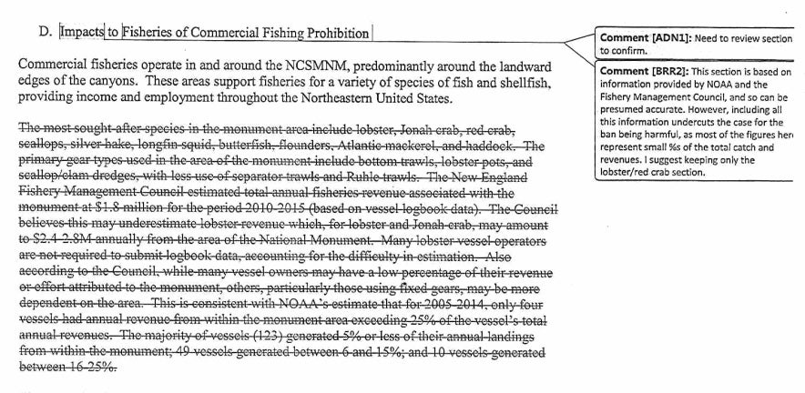 A screenshot of a document with comments from two people and a large section of the text struck through.