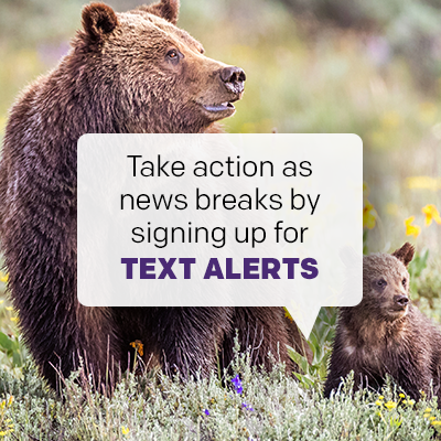 Signing up for text messages is the best way to stay up-to-date and engaged on action alerts and updates from Earthjustice.