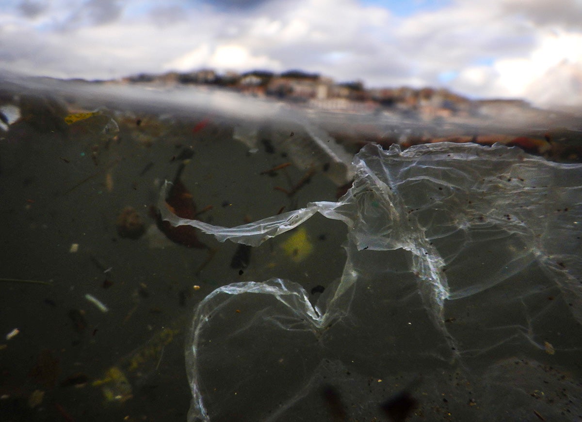 Plastic wrap floats under the water's surface among other debris, with an urban area visible on the horizon.
