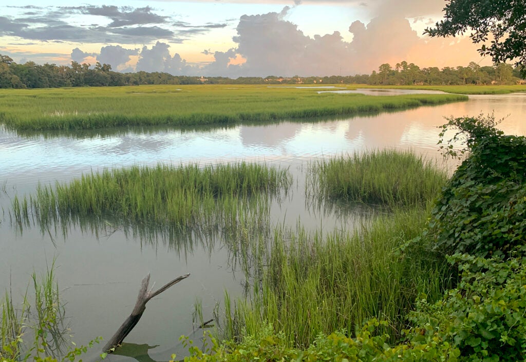 A marsh at sunset in Beaufort, South Carolina. (Teresa Kopec / Getty Images)