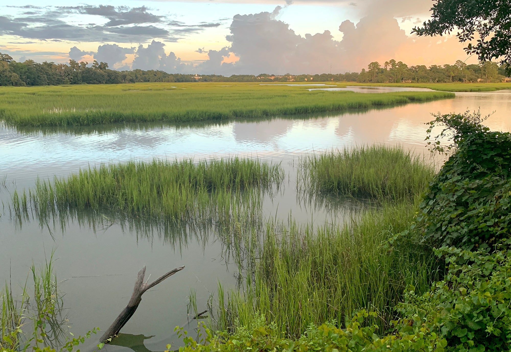 A marsh at sunset in Beaufort, South Carolina.