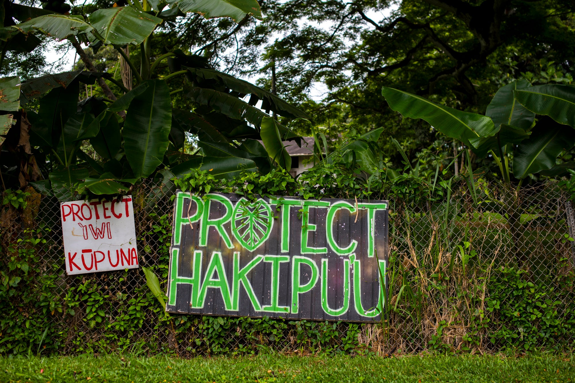 Letreros que instan a la protección de los sitios culturales en Hakipu'u, Hawai'i.  (Elyse Butler para Earthjustice)