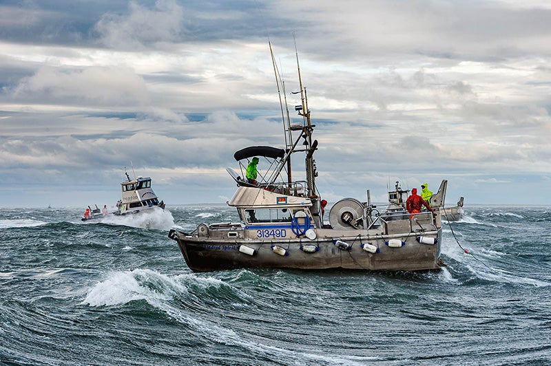 Fishing for sockeye salmon in the Egegik fishing district in Bristol Bay.