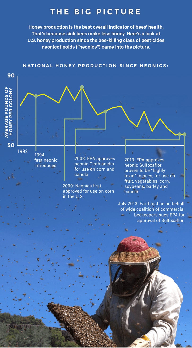 The big picture: Honey production is the best overall indicator of bees' health. That's because sick bees make less honey. Here's a look at U.S. honey production since the bee killing class of pesticides neonicotinoids came into the picture.