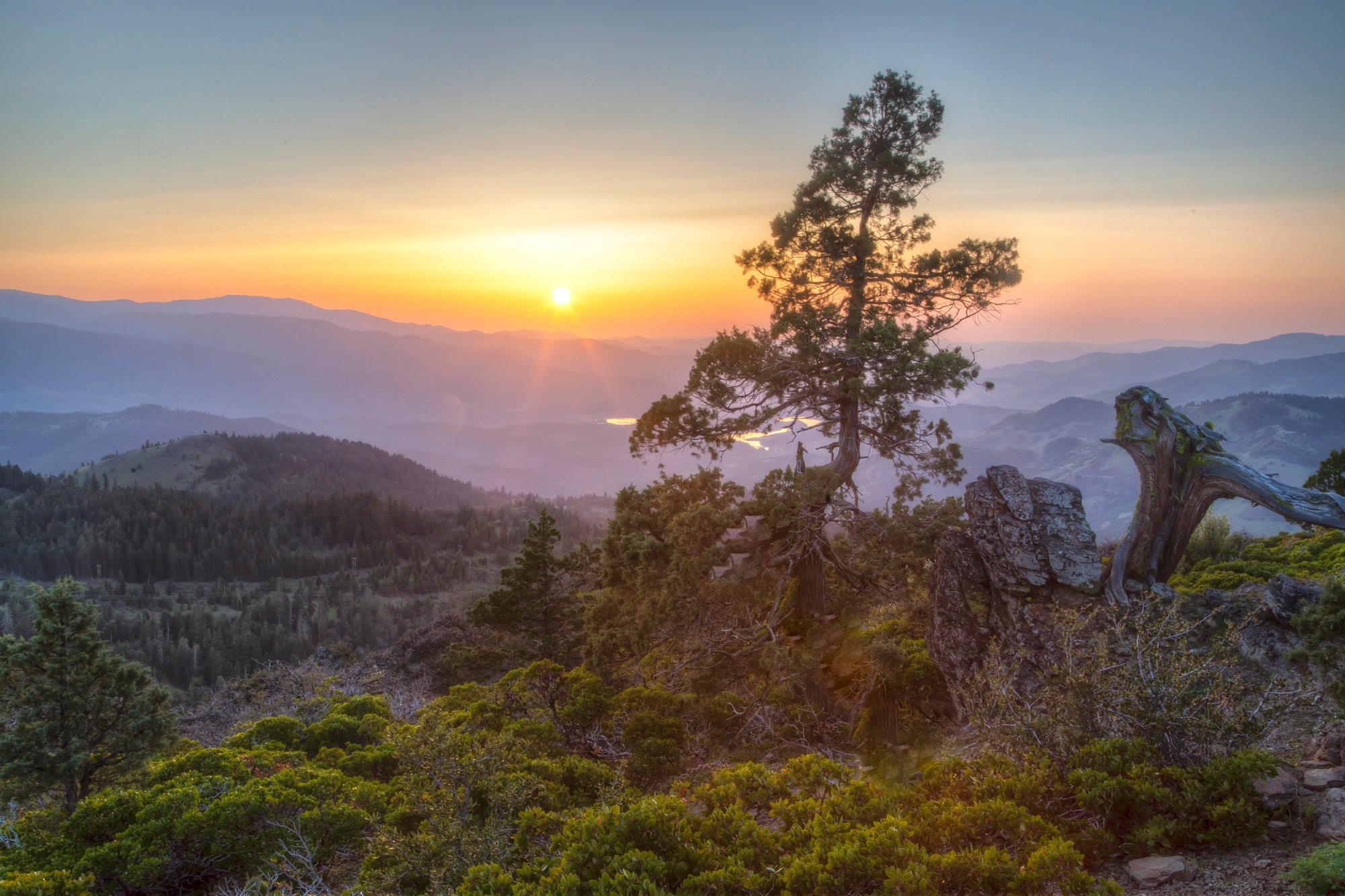 Sunsetting on landscape with tree in foreground.