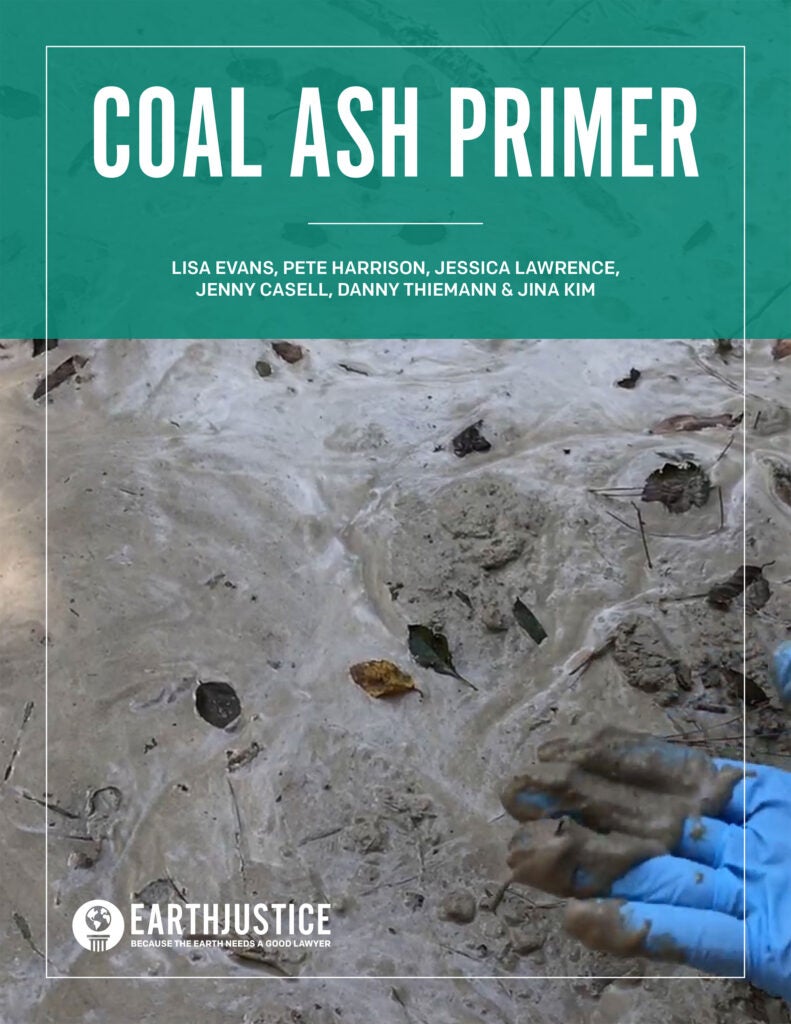 The Coal Ash Primer: An introduction to the serious threats to human health and the environment, particularly to water resources and clean air, posed by coal ash.