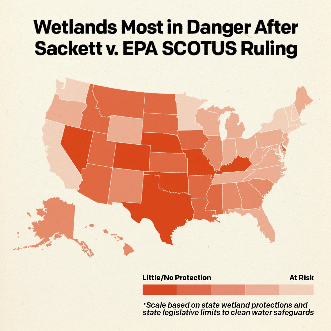 Wetlands Most In Danger After The U S Supreme Court s Sackett V EPA 