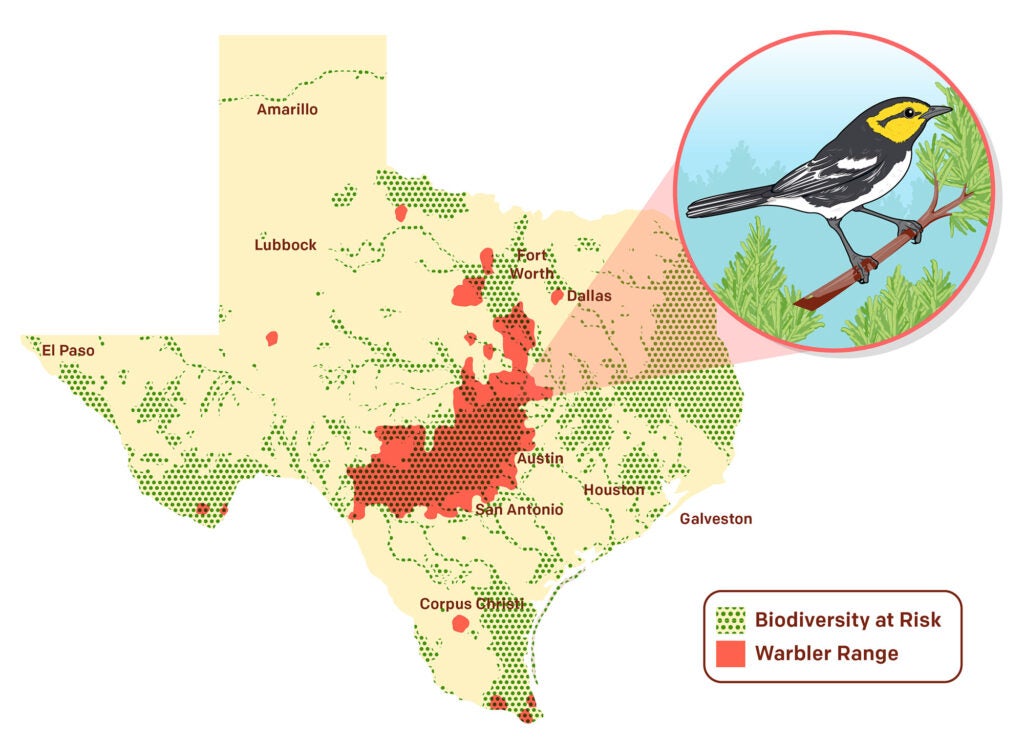 Map showing warbler range and biodiversity at risk.