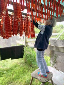 An older woman hangs strips of salmon in a small shelter