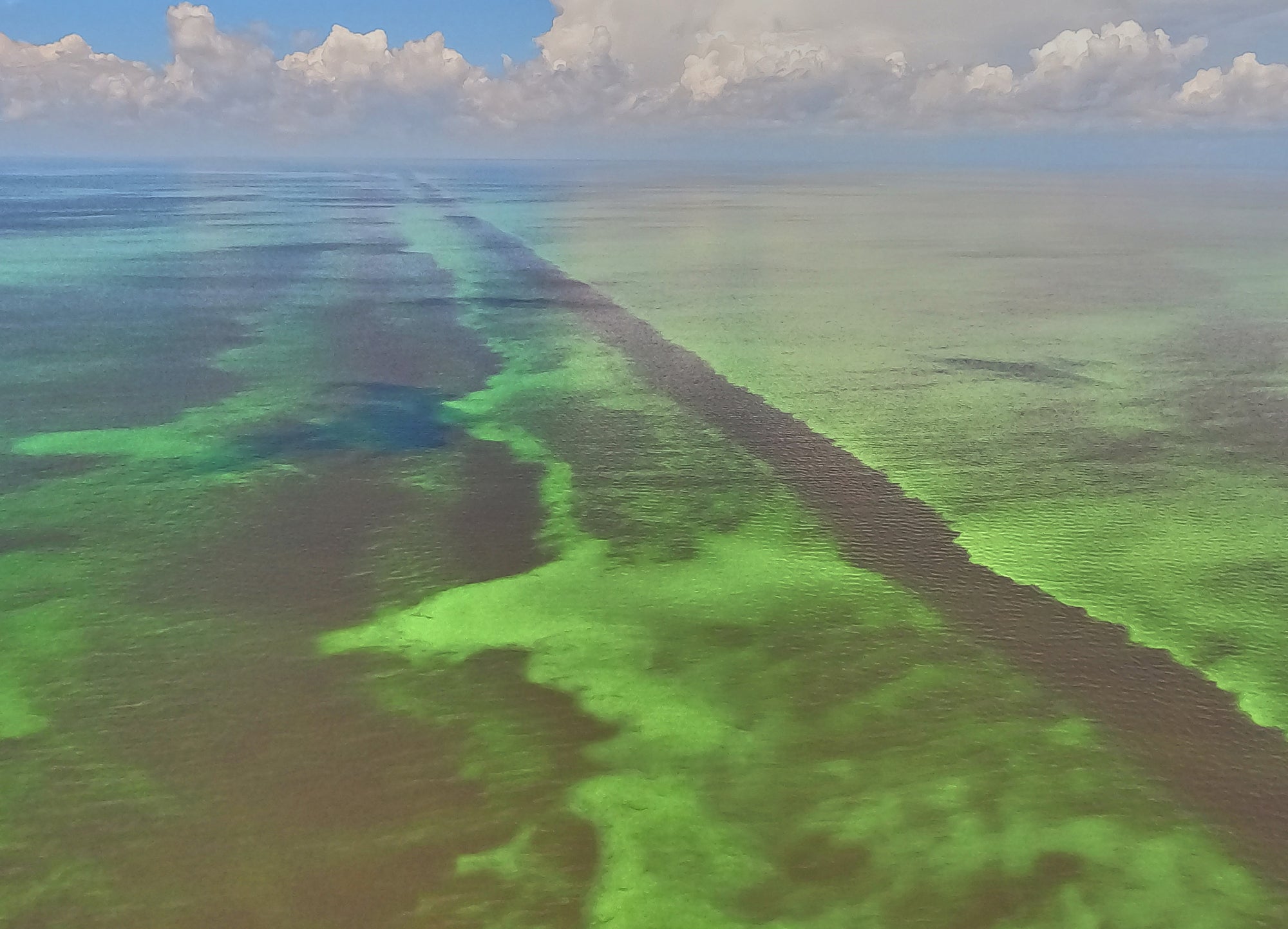 Aerial photo of a large lake with green algae slime floating on the top