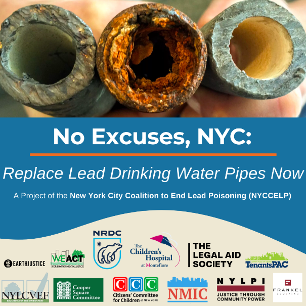 The report, "No Excuses, NYC: Replace Lead Drinking Water Pipes Now," estimates that one in five New Yorkers may be drinking water transported through lead service lines.