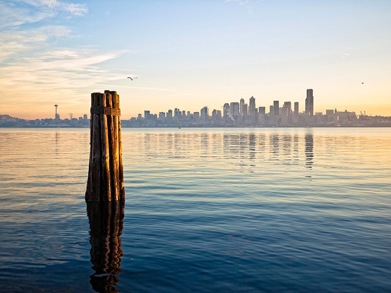 The Seattle skyline from across Elliott Bay.