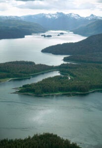 An aerial photo of water, forest and mountains in the distance