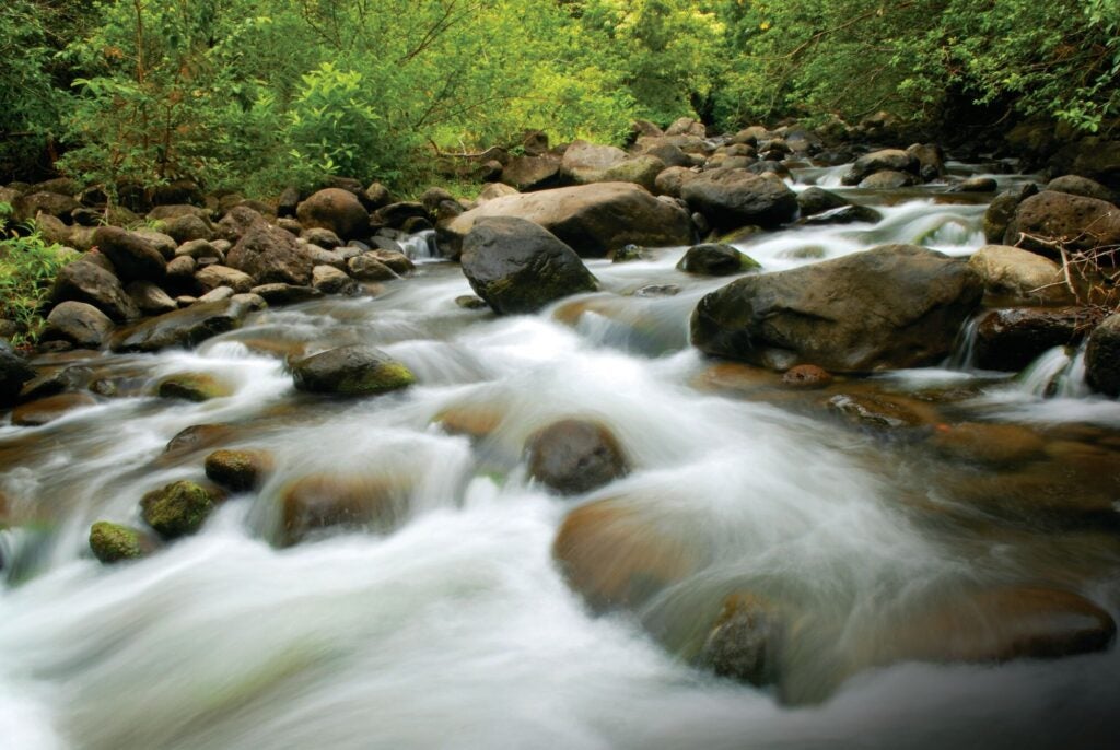 Creek at Iao Valley State Park, Maui, Hawaii. (aimintang / iStock)