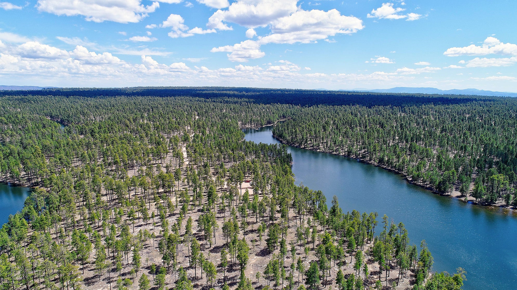 Landscape with sparse trees and some water.