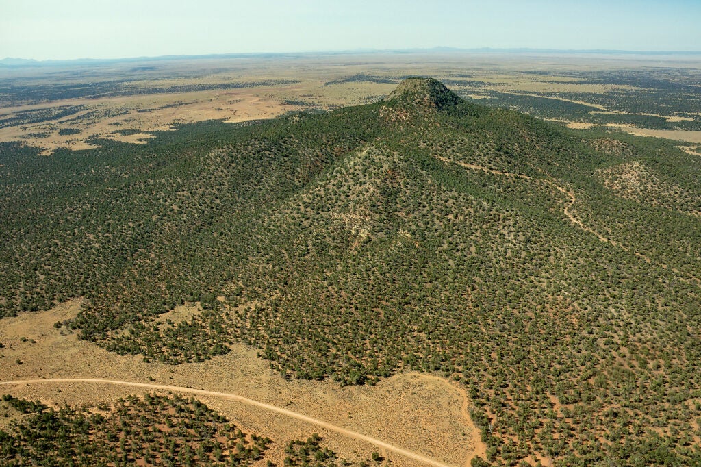 An aerial photo of a small mountain in the desert covered with short trees.