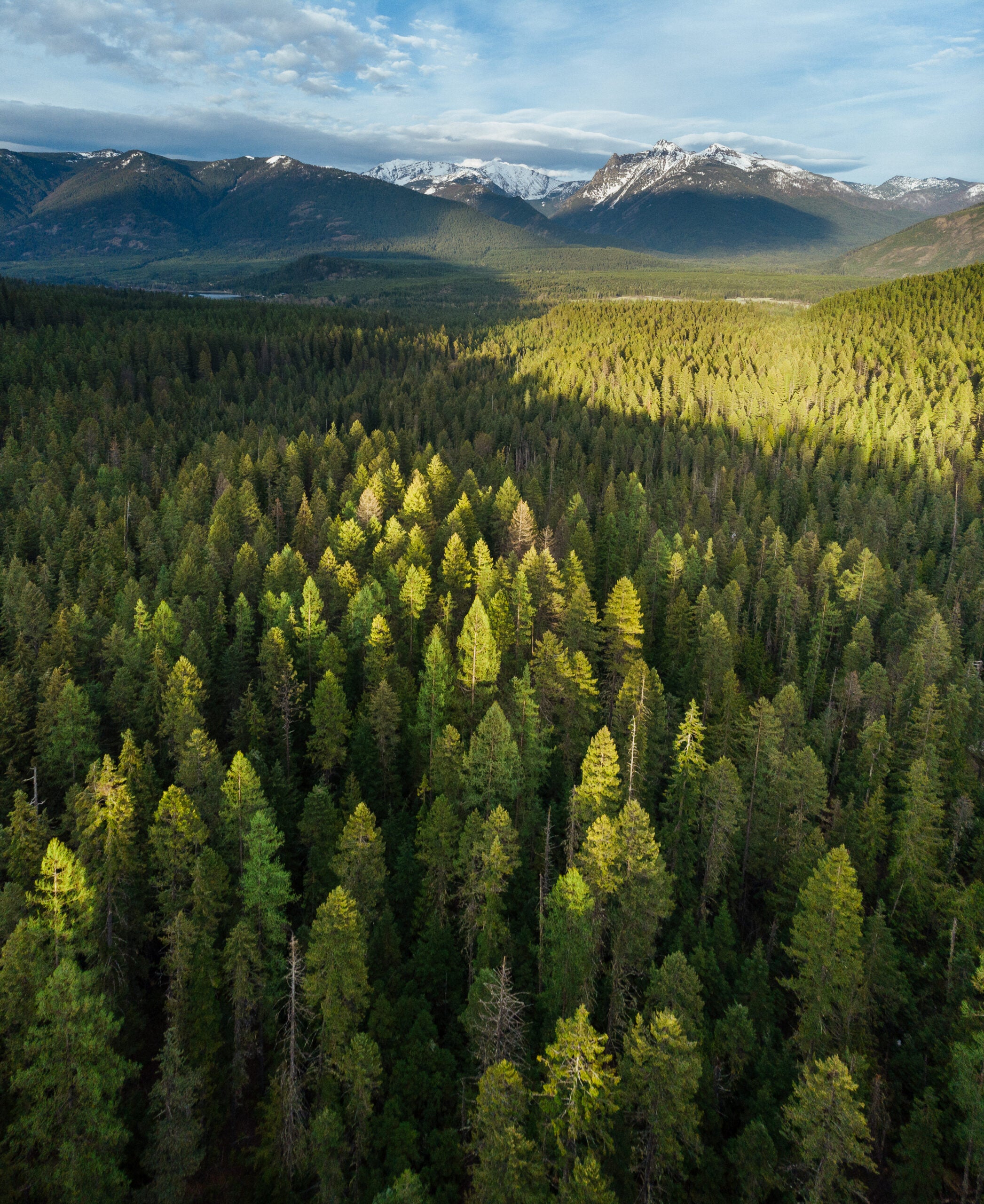 The Cabinet Mountains Wilderness. If constructed, the Rock Creek and Montanore mines are predicted to drain water from wilderness streams, reducing flows for more than 1,000 years, and threaten higher levels of human-caused mortality for the precariously small population of grizzly bears. The Montanore mine alone would generate up to 120 million tons of mining waste, which would be stored in perpetuity on the doorstep of the wilderness.