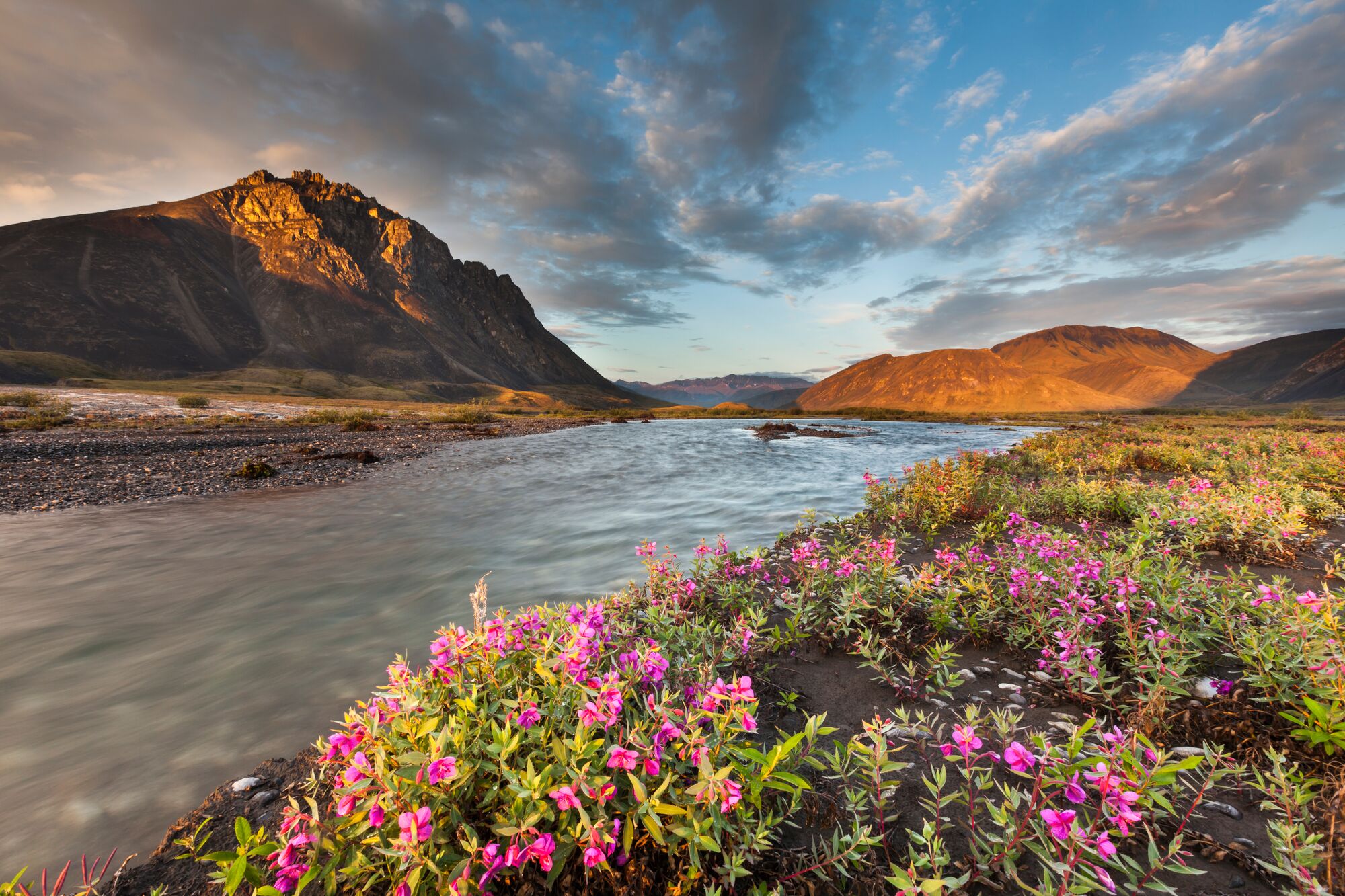 A river with wildflowers growing next to it.