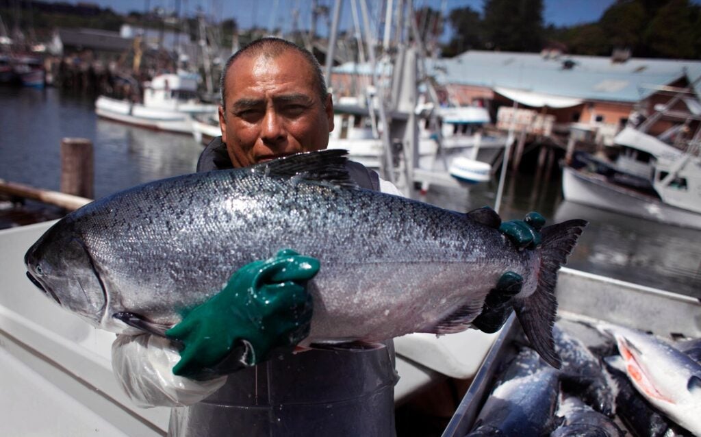 Jose Chi holds up an impressively large king salmon that was caught in the Pacific Ocean near Ft. Bragg, CA.