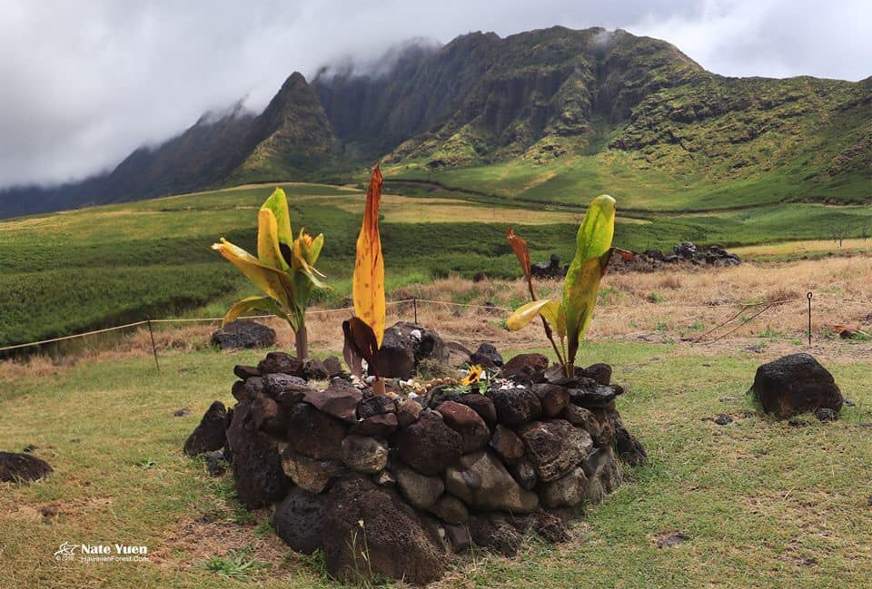 A stone altar in a lush, green, Hawaiian valley.