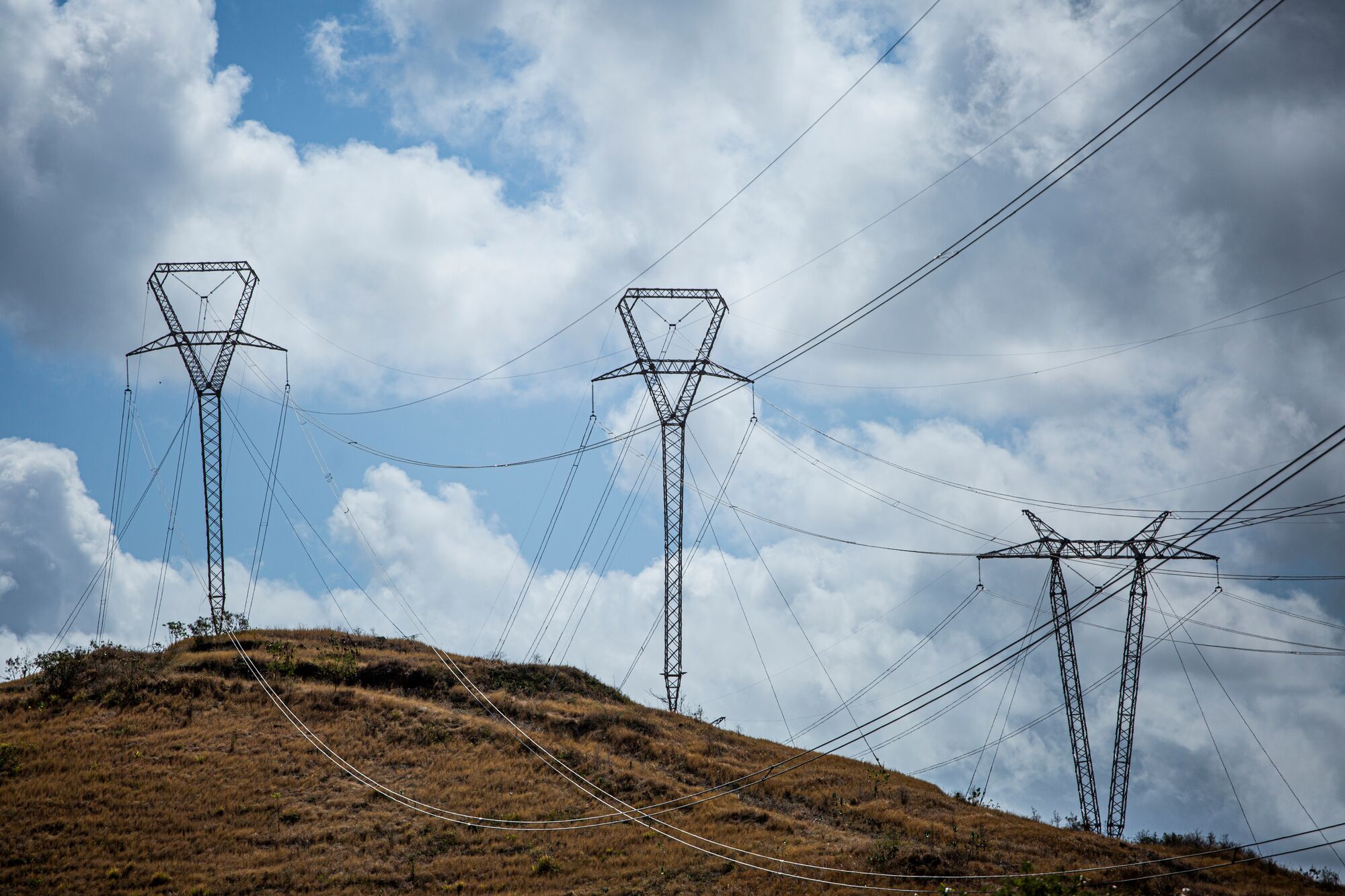 Transmission powerlines in Guayama, P.R. (Erika P. Rodríguez for Earthjustice)