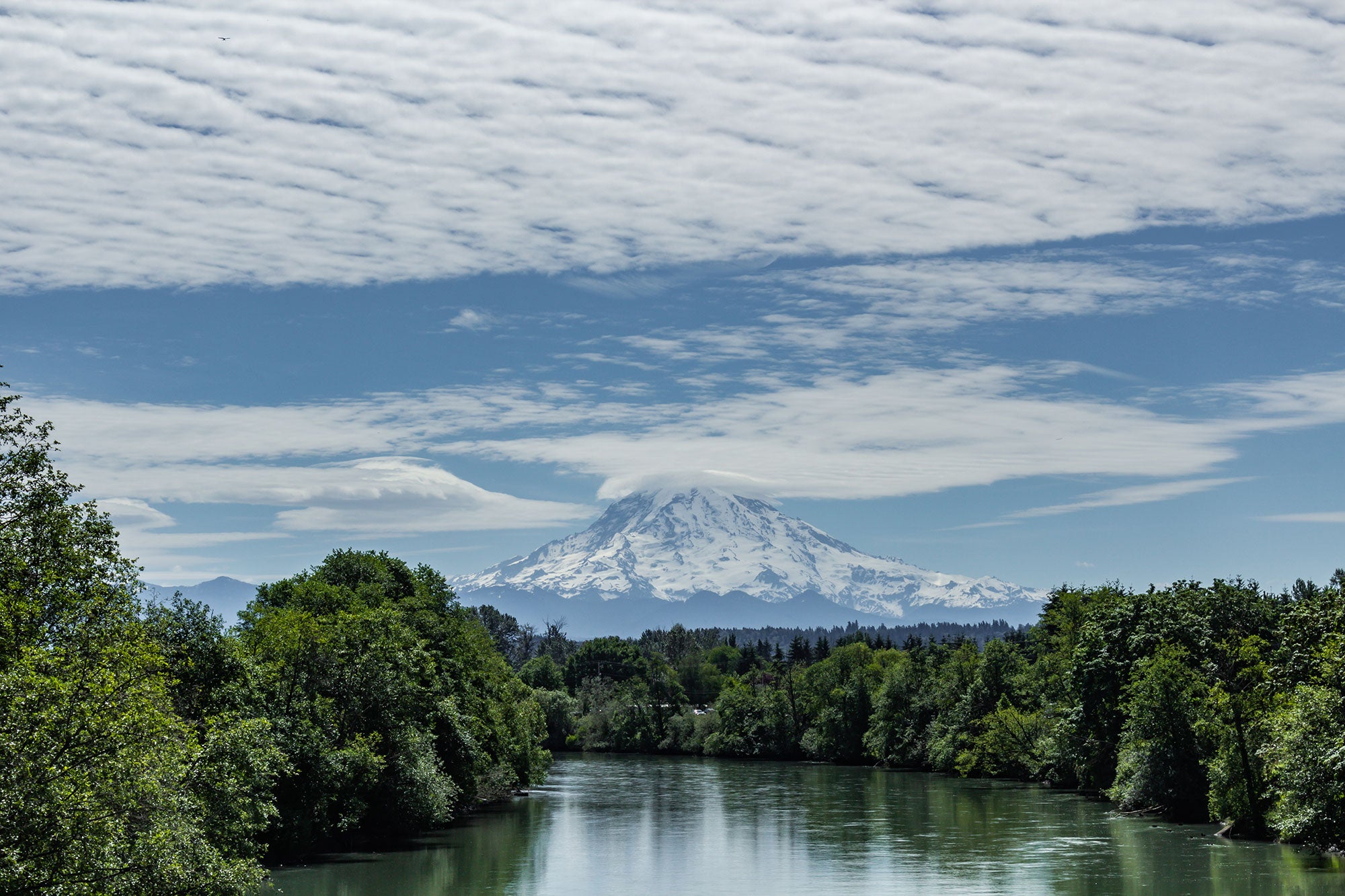 The Puyallup River, with Mount Rainier in the background.